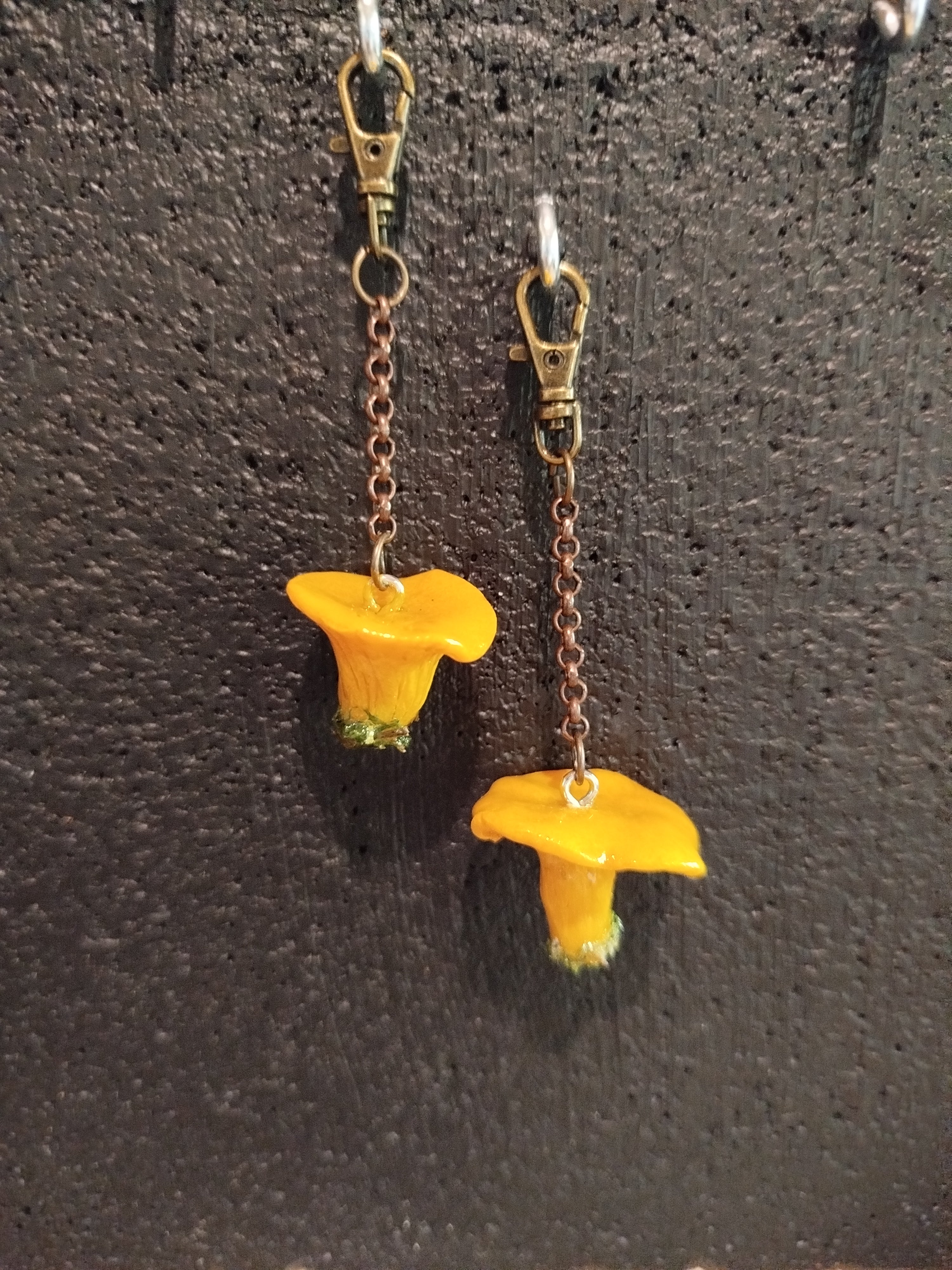 Les Talismans naturels