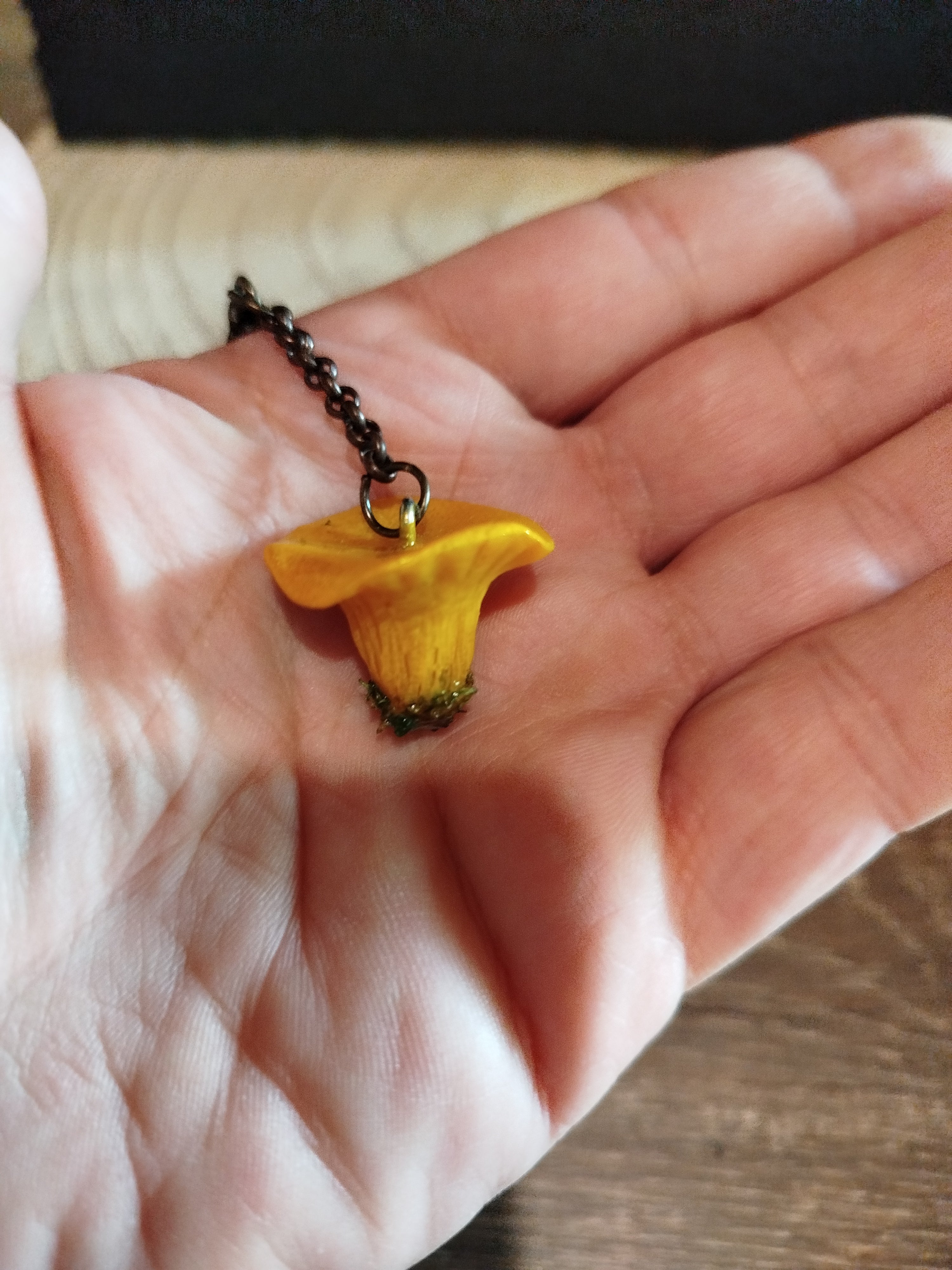 Les Talismans naturels