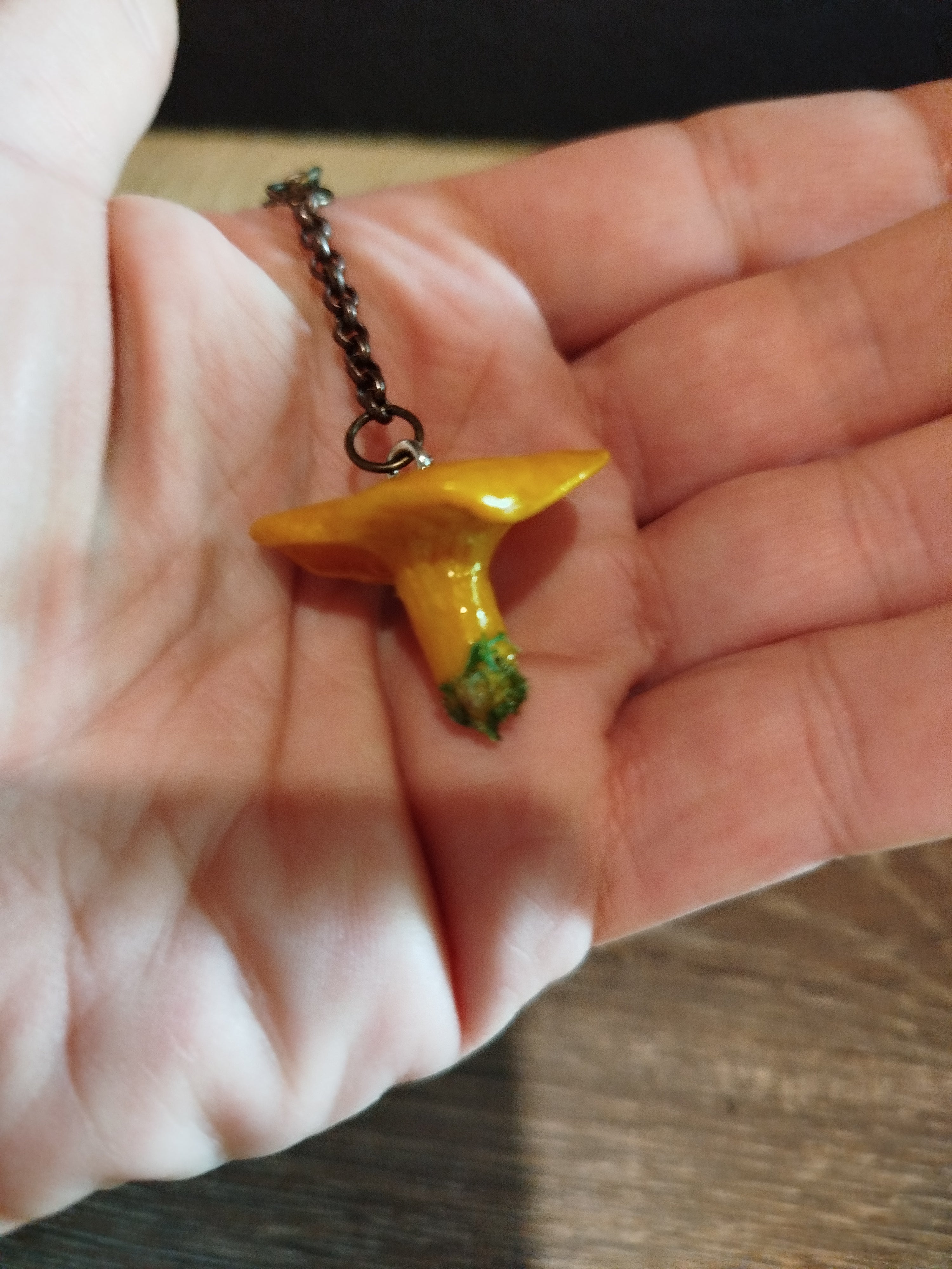 Les Talismans naturels