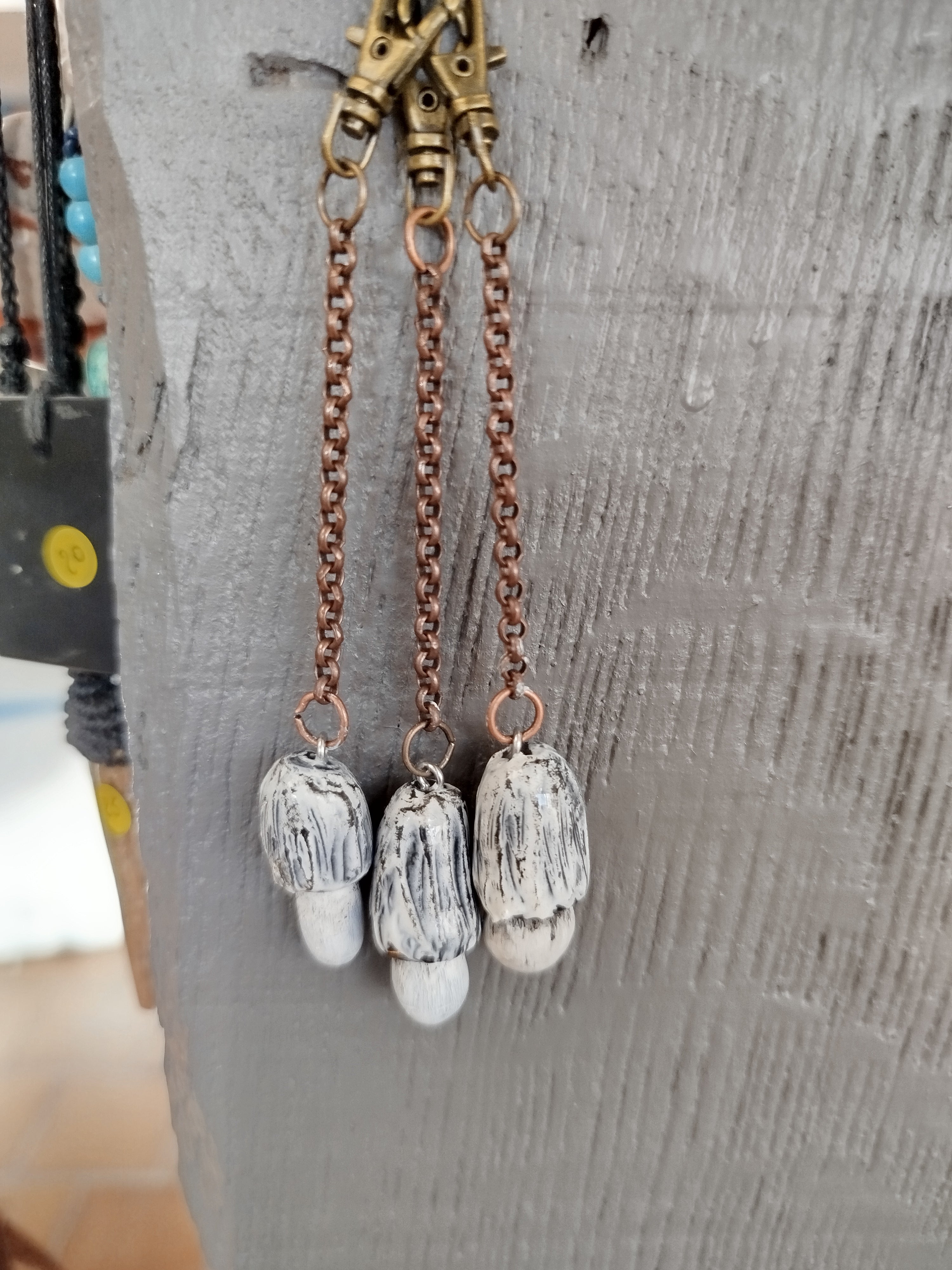 Les Talismans naturels