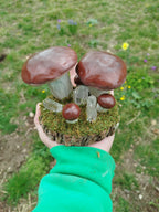 Les compos pierres naturelles