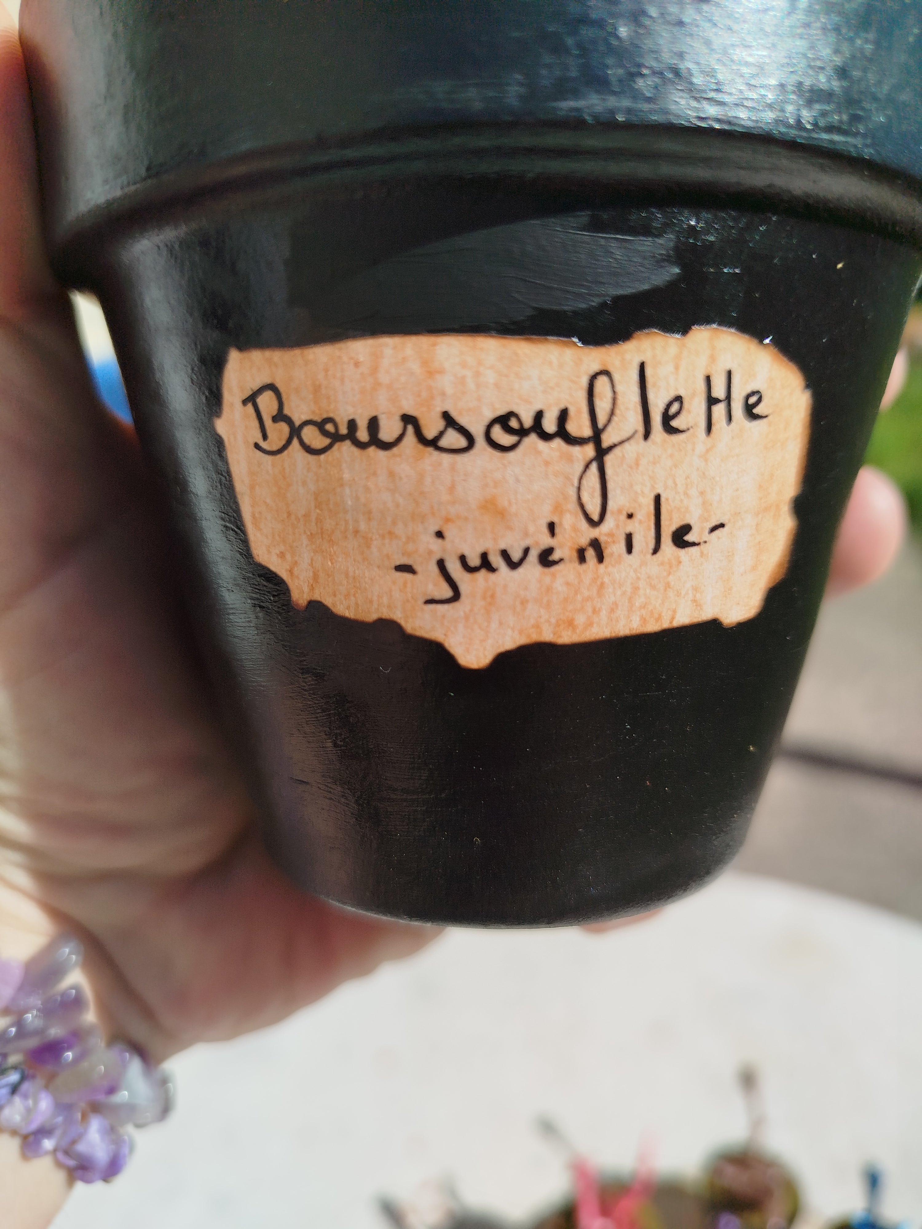 Les Boursouflettes