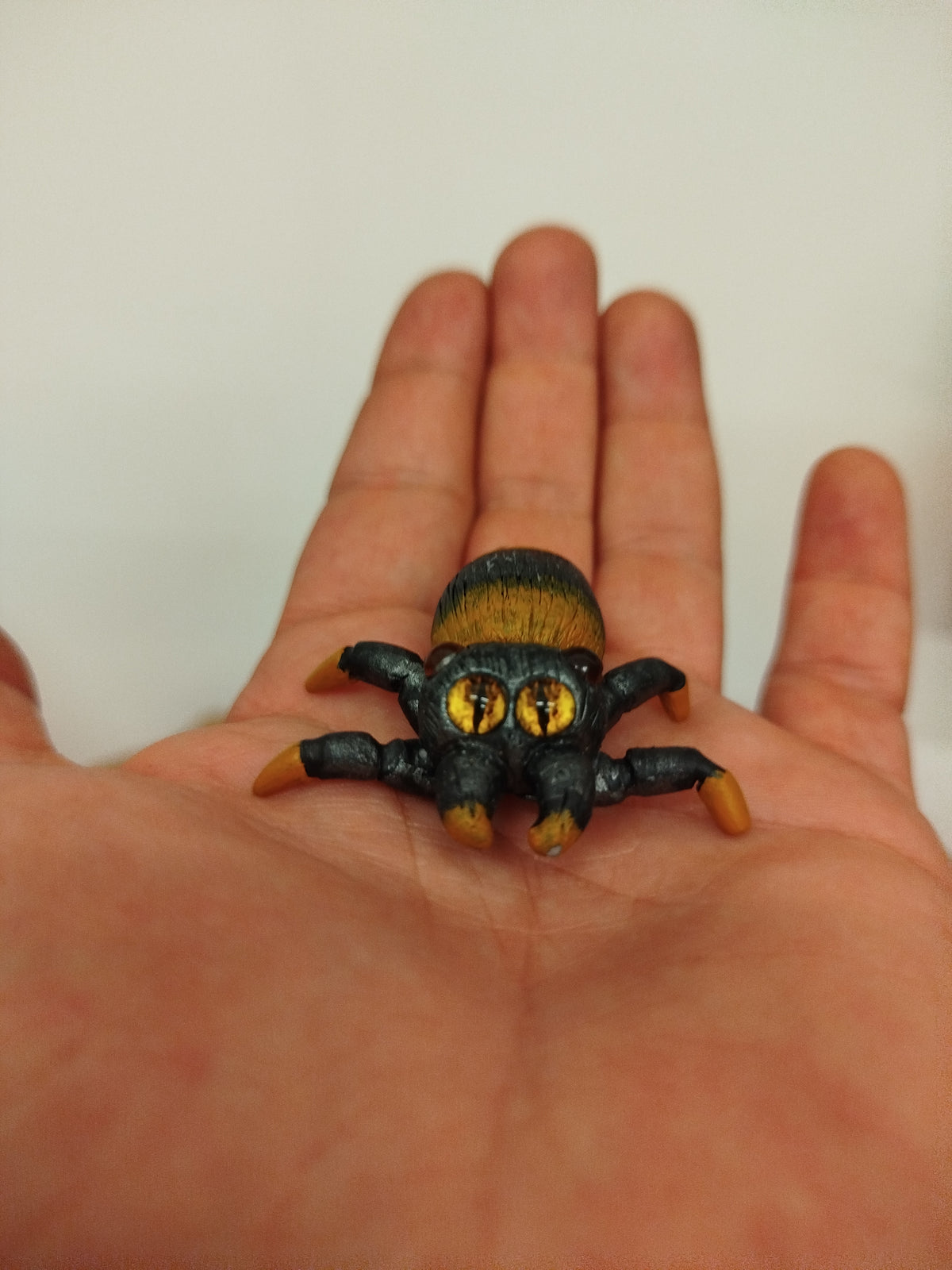 Les rejetons d'araignées