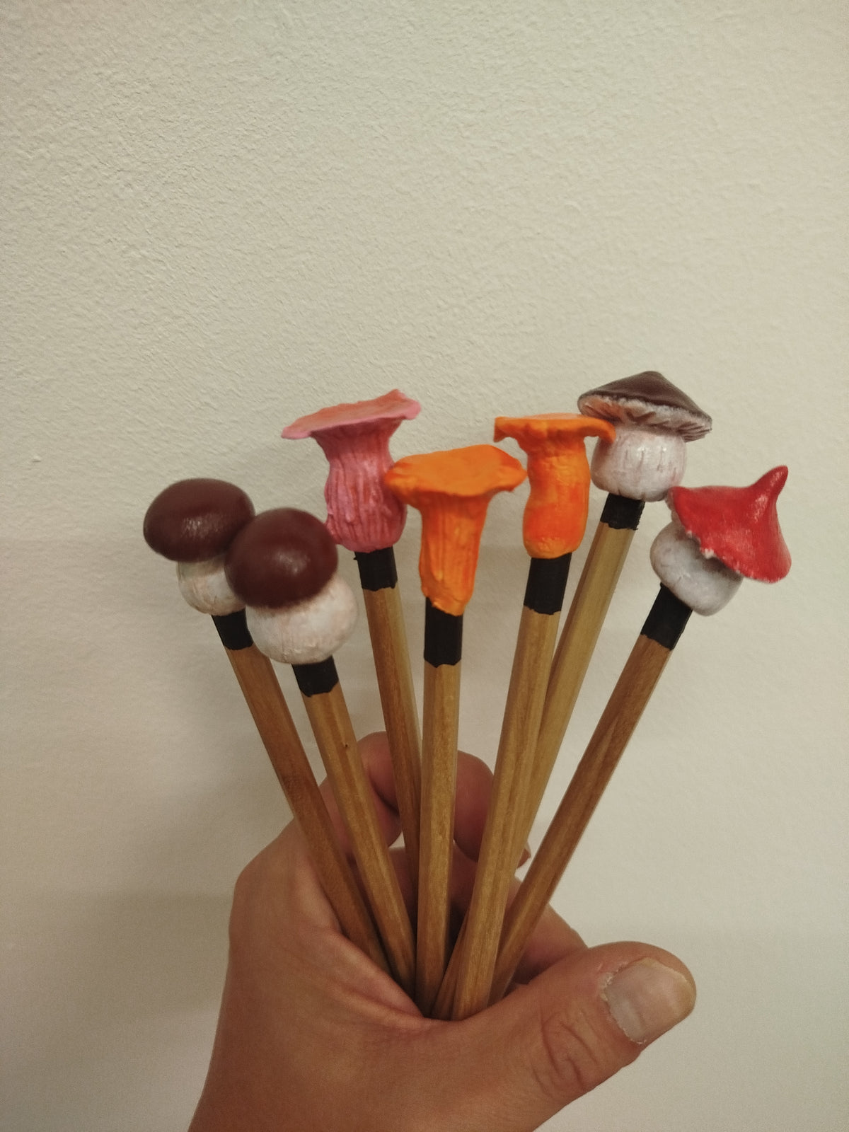 Crayons de bois Champignons